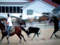 videos de Skips Princecharming 2nd Video