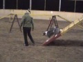 Training mit Uschi und Blizz, 16.11.08  Halle