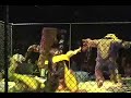 fighto montage
