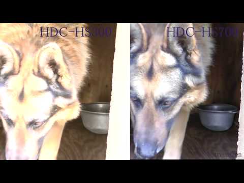 Panasonic HDC-HS300 vs HDC-HS700 day exposure test