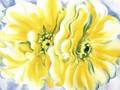 Philmology - Georgia O'Keeffe