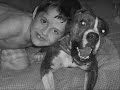 PIT BULLS...DON\ PIT BULLS...DON\