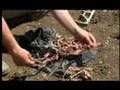 Srebrenica - Genocid u RBiH - dio 2 / 2