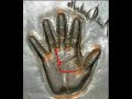 Майкл Джексон, хиромантия, анализ руки. Michael Jackson palmistry