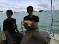 Singapore Fishing Trip