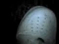 walking with the DeCreaseR \"crease preventing shoe insert\"