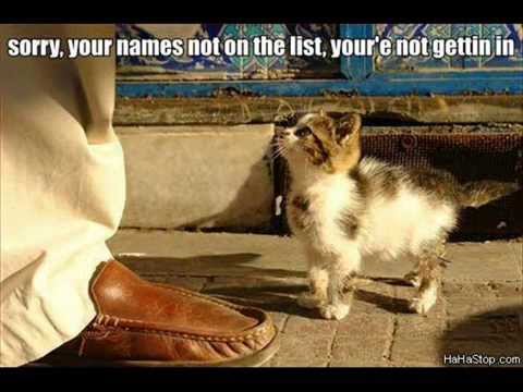 Funniest accidents