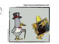What The Duck Animated Comic Strip 378