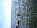 bay jammer 08
