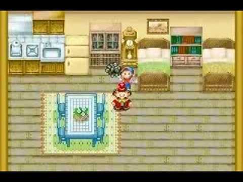 how to collect jewel of truth in harvest moon