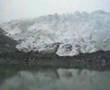 SUPER POLAR / Petit ours 8