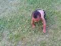 Gabriel Crawling