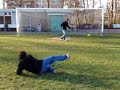 Amator futbolcu penalti kullaniyor... Cihan karaca Amator futbolcu penalti kullaniyor... Cihan karaca
