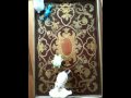 View Video
