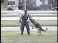 Real Schutzhund v2