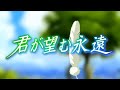 Casting Fandub galego - Kimi Ga Nozomu Eien (O teu Desexo Eterno)
