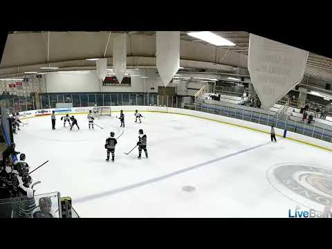 Nikita Kalifatidi goal