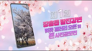 제1회 장흥읍 탐진강변 벚꽃 갤러리 오픈 및 폰 사진공모전