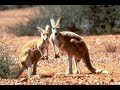 australie