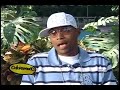Travy Joe en entrevista Cotorreando