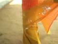 videos de Orange Pure Georgette Leheriya Saree with Blouse