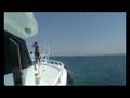 Delphin Tour mit SimSim Reisen