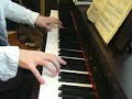 Wind Forest (short ver.)