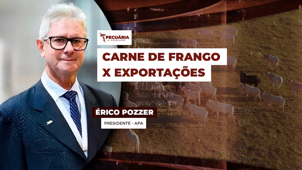 Cotações do frango seguem frágeis com parte da exportação ainda sendo direcionada para o...