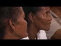 Palma Africana, violencia, desplazamientos y resistencia