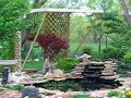Mystery Pond Visitor