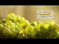 Znojemské vinobraní 2012 - oficiální video - HD
Znojemské vinobraní 2012 - oficiální video - HD