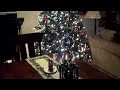 Christmas Tree Test Clip Christmas Tree Test Clip