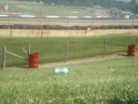Friday at the tack
