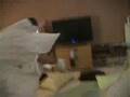 Pillow Fight