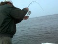 DSCN2957.MOV