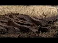Peat has been used to fuel Bowmore's kiln for over 200 years. Find out how the cutting process has been perfected over time.