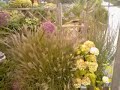 Video taken with HTC TyTN II Kaiser P4550