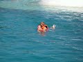 Dolphin Foot Push Grand Cayman Dec 21, 2008 Video by Troy MySpace Video