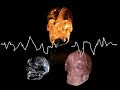 The Crystal Skulls