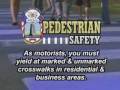 Crosswalk Video
