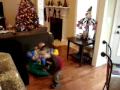 MOV01557.wmv