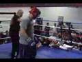 Head-Kick-Knockout