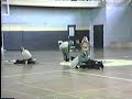 Demo Team Ninja Turtle Team