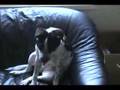  - MovieZen Video