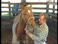 John Pinnell Master Horseman John Pinnell Master Horseman