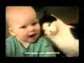 Gatti pazzi