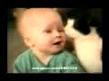 Gatti pazzi