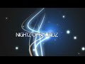 NIGHTZ OF SOUNDZ PROMO VIDEO 2