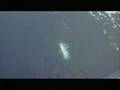 videos de ACCSpotlight.wmv