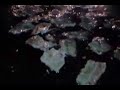 東京OLブログルメ-夜の焼肉＠鴨川自然王国-Night BBQ for Tokyo girl